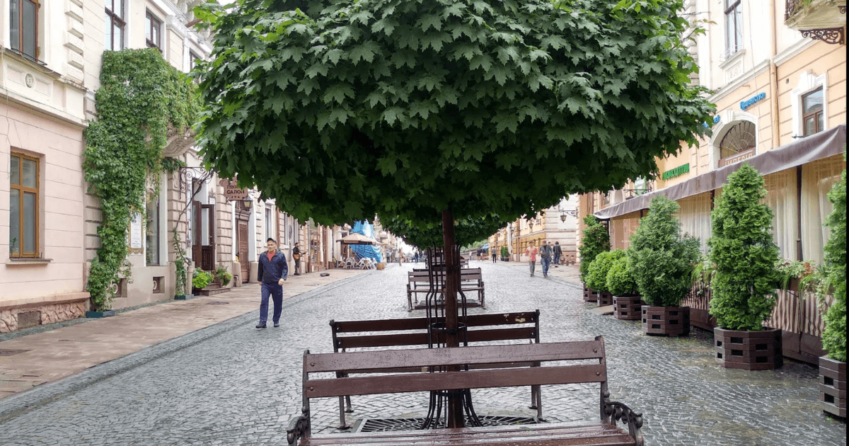 Куди піти в Чернівцях: Топ 12 місць які варто відвідати. Фото №9