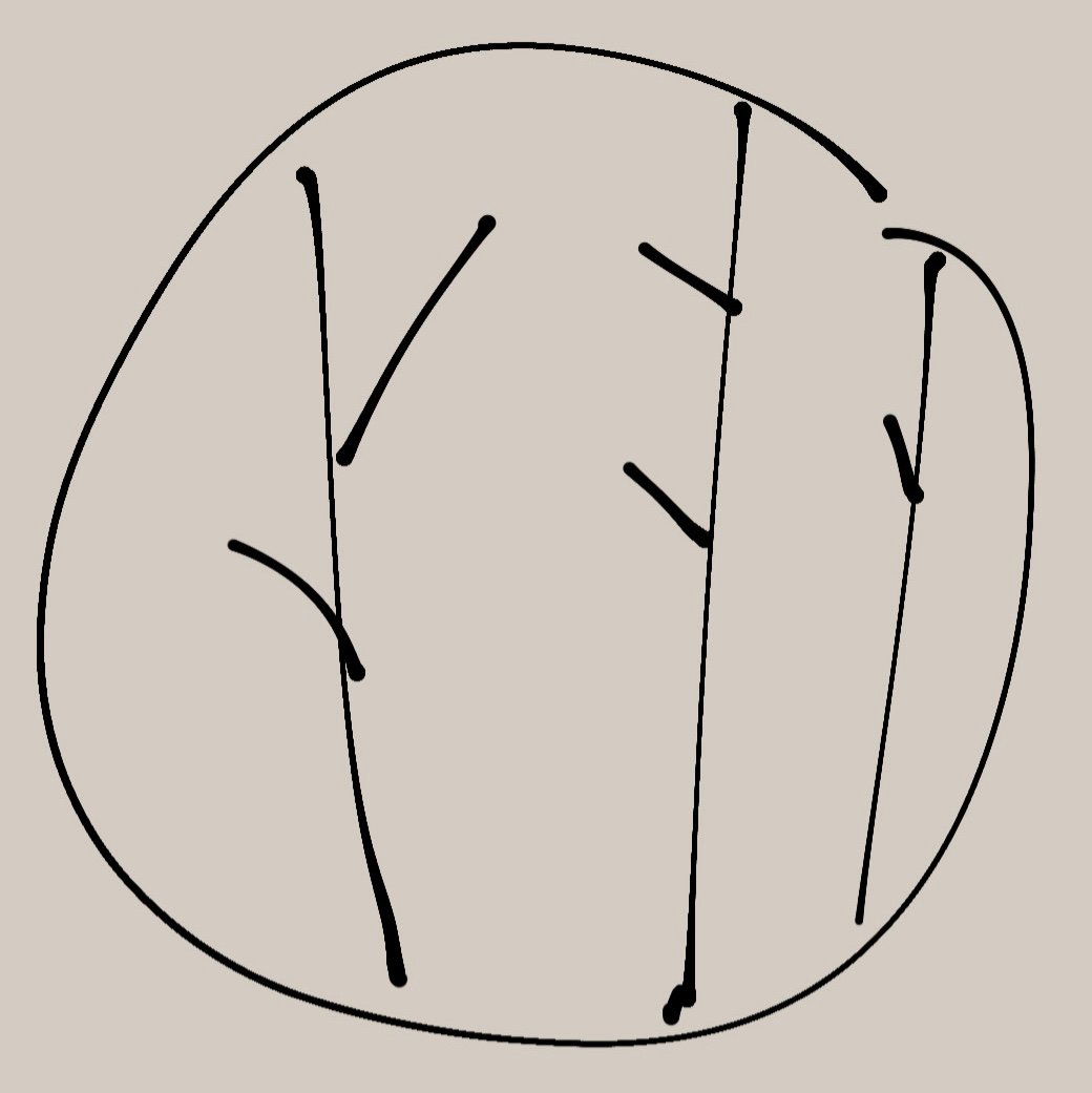 66543df8639858f0c9512278logo