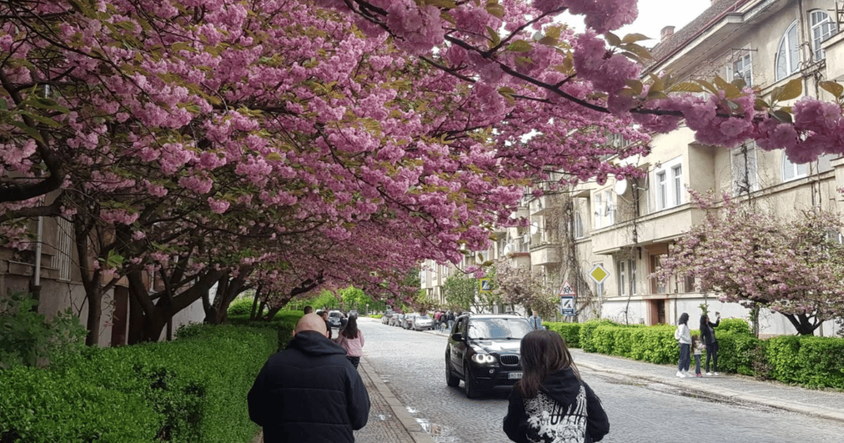 Куди піти в Ужгороді: Топ 12 місць, які варто відвідати. Фото №15