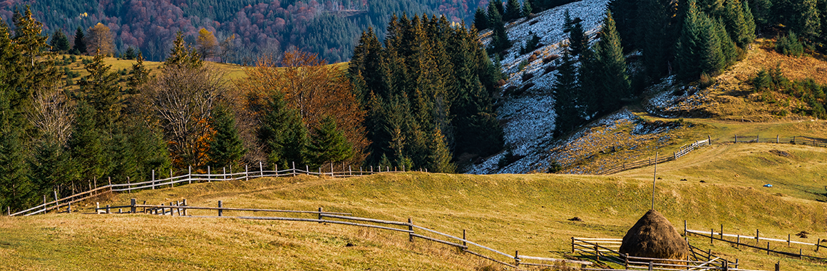 Полонина Веснарка