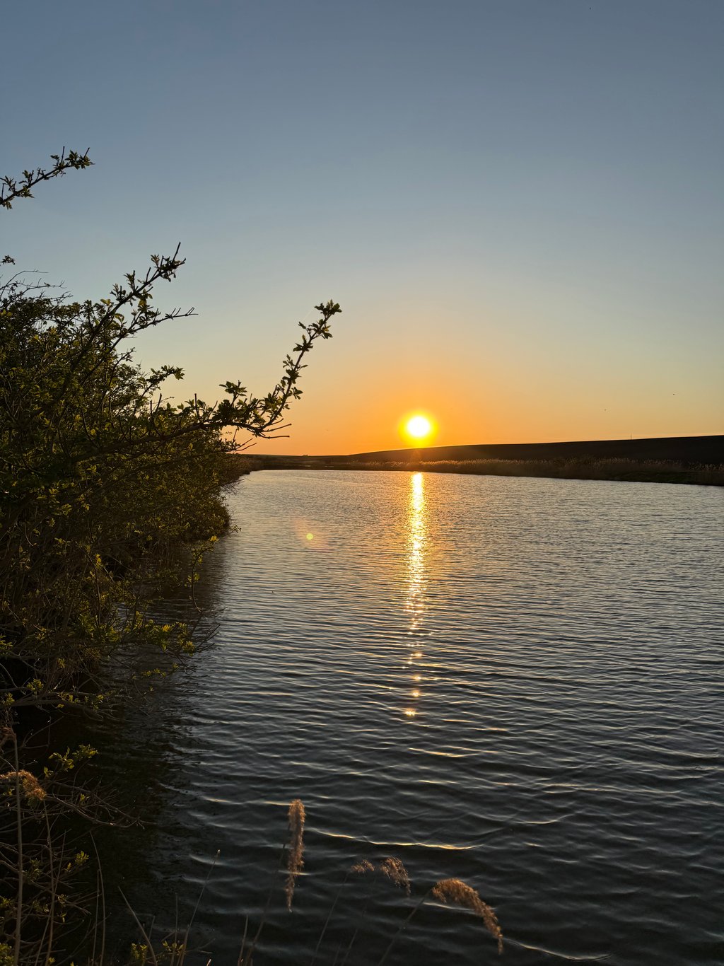 image_3