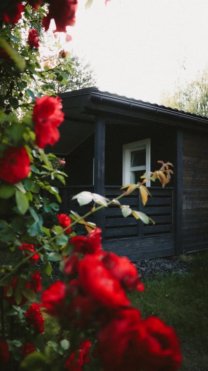 dbde41249132428a68566740e3faed99