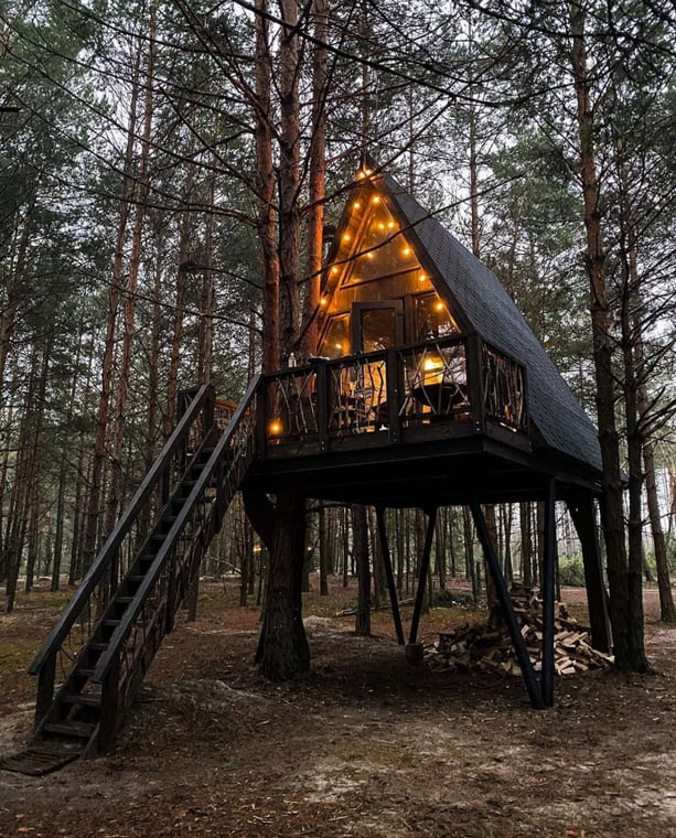 369b2f204e6b06ee51c684ab712895ee