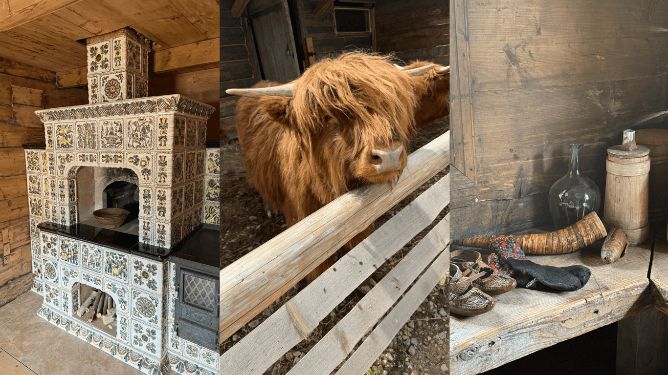 Від батьківського двору до Топ-ґазди 2025: історія Далеких Гір у Снідавці. Фото №5