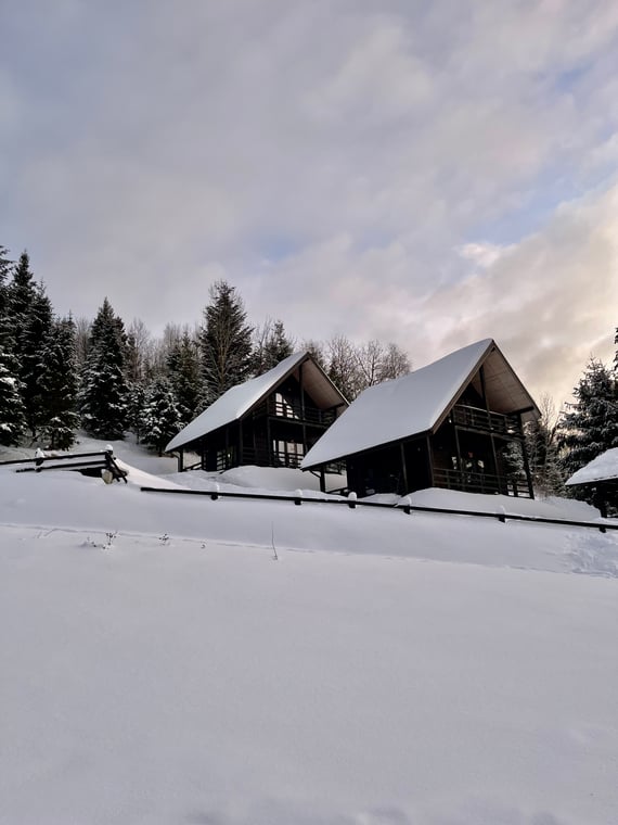 3717d5a1e09a2a9103077282a7fcf834