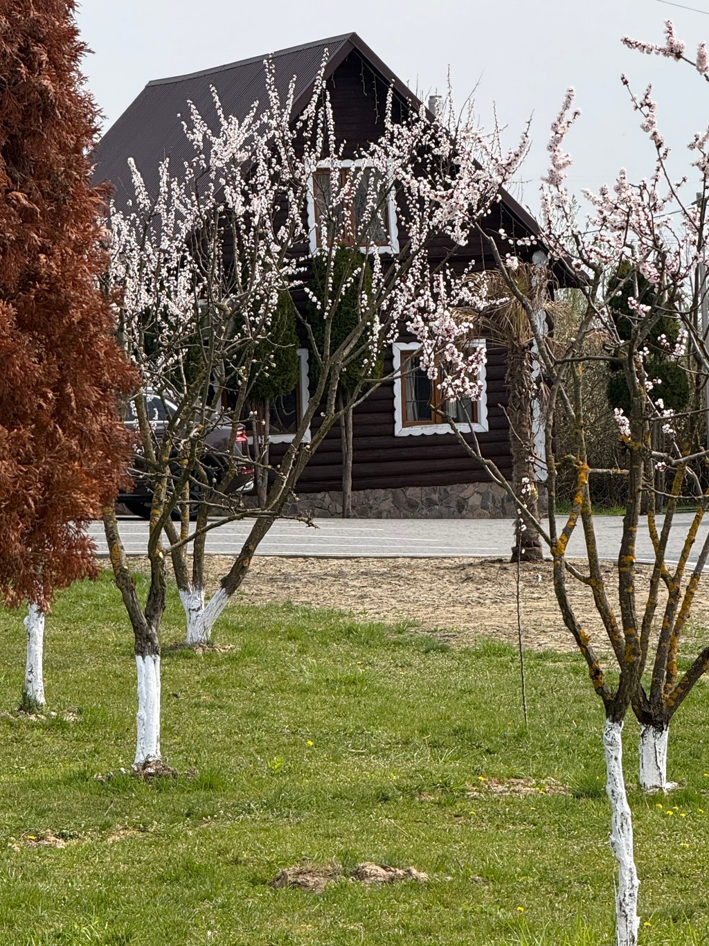 image_3