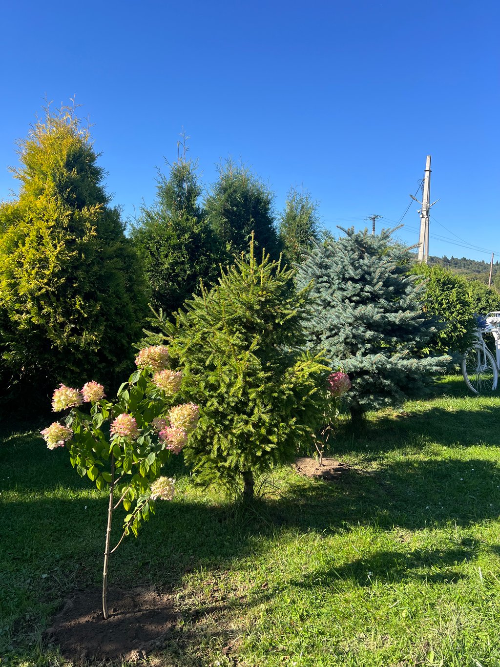 image_4