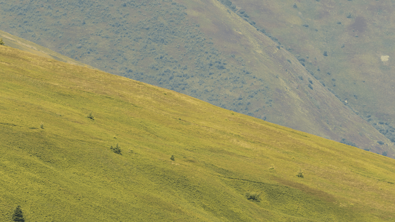 Якщо ви відпочиваєте достатньо, то рішення прийдуть до вас самі, — Руслана Ярмола. Фото №4