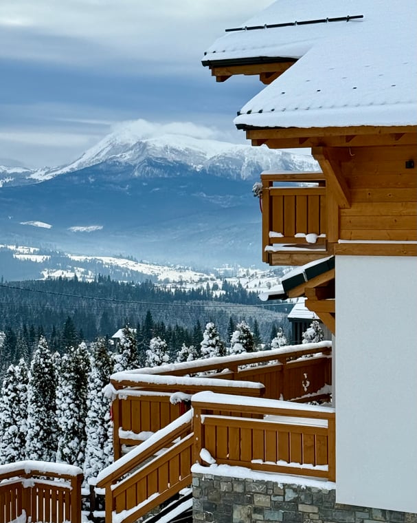 b93312d858462d8ff4617611d610f16e