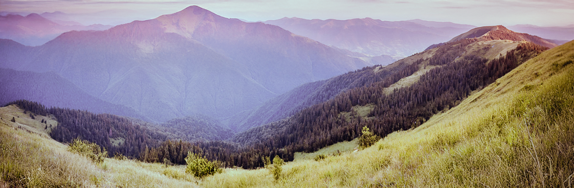 Полонина Дарвайка