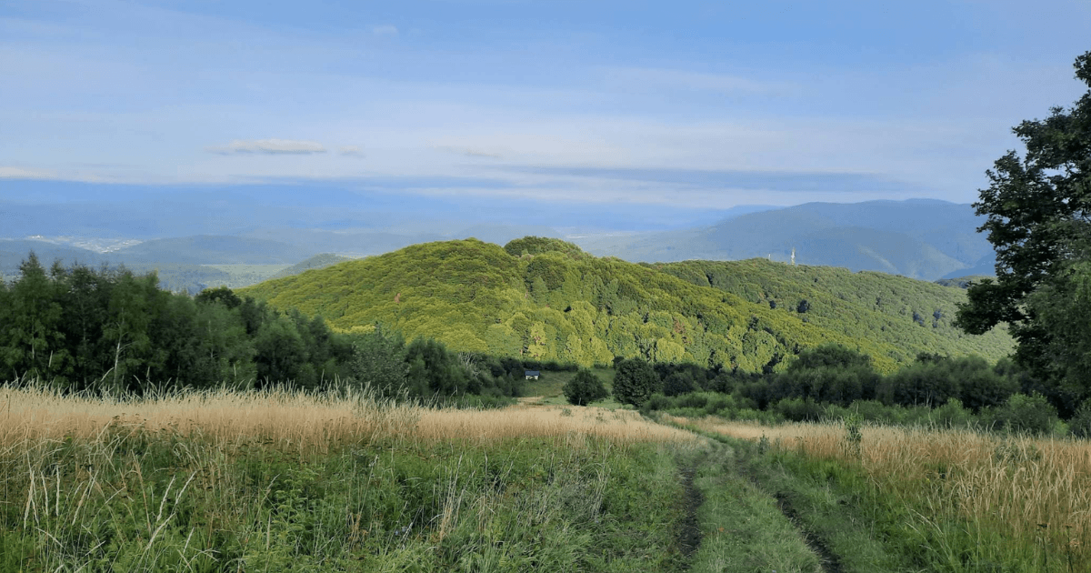 Гора Плішка