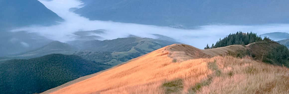 Полонина Дарвайка - маршрути, фото, що цікавого. Фото №2