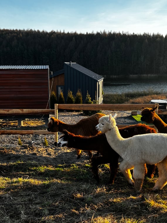 b420f5a17a2d667944b72532dc06d0b5