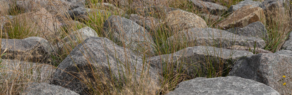 Гора Ігровець: маршрути, чим цікава, як дістатися. Фото №6