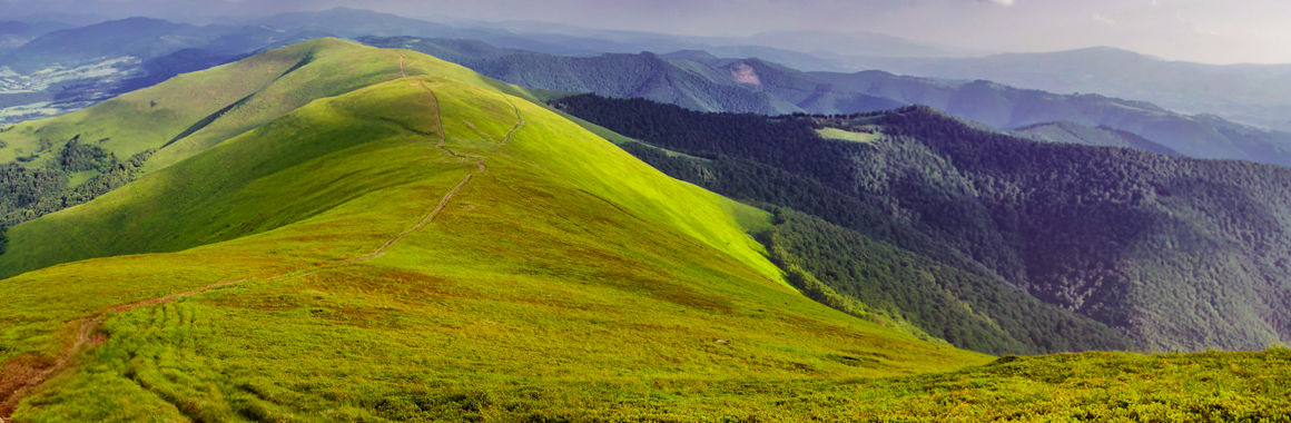 Полонина Боржава
