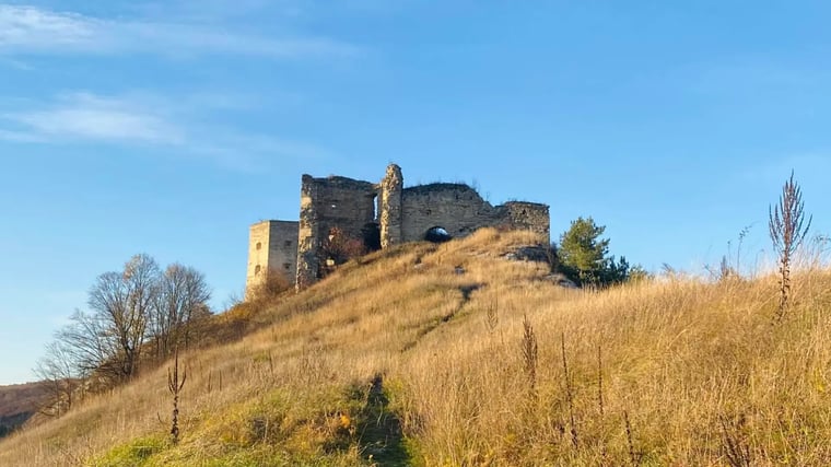Кудринецький замок