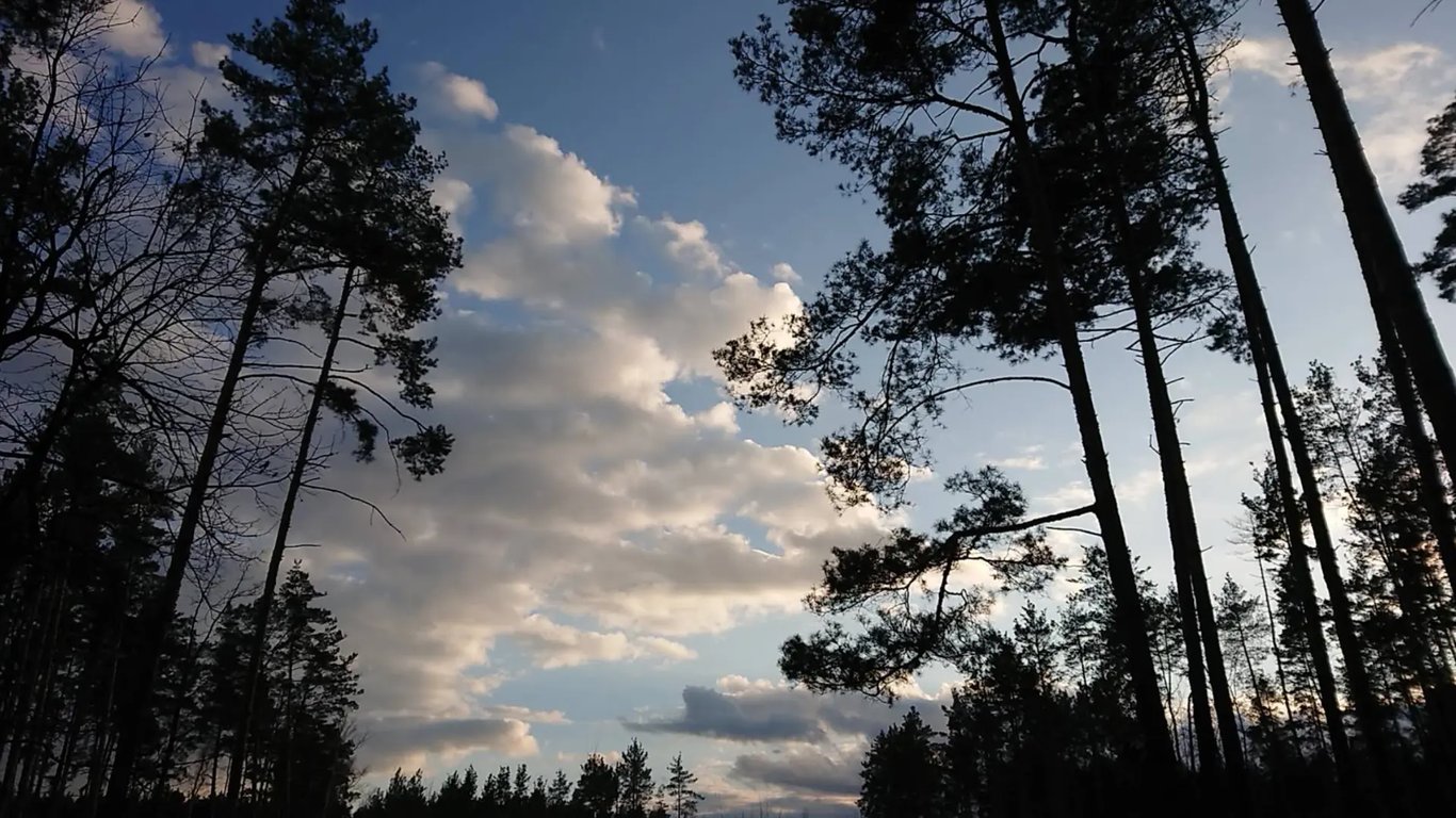 Куди піти та що подивитися у Вишгородському районі. Фото №12