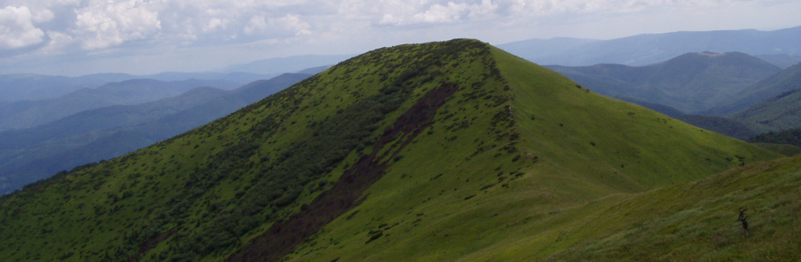 Гора Гостра