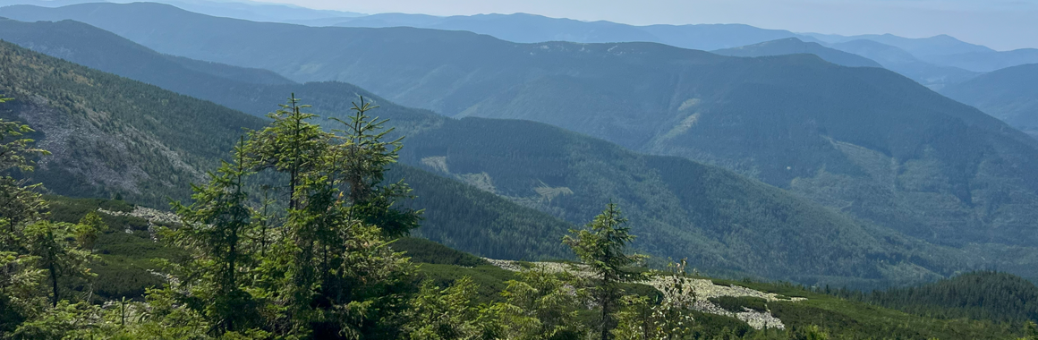 Гора Ігровець: маршрути, чим цікава, як дістатися. Фото №3
