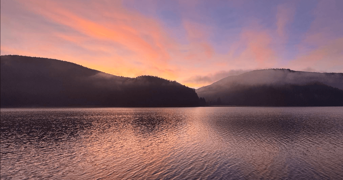 Там, де цвіте шафран: Колочава та інші популярні місця, де квітнуть крокуси у 2026 році. Фото №5