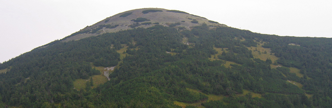 Гора Яйко-Ілемське