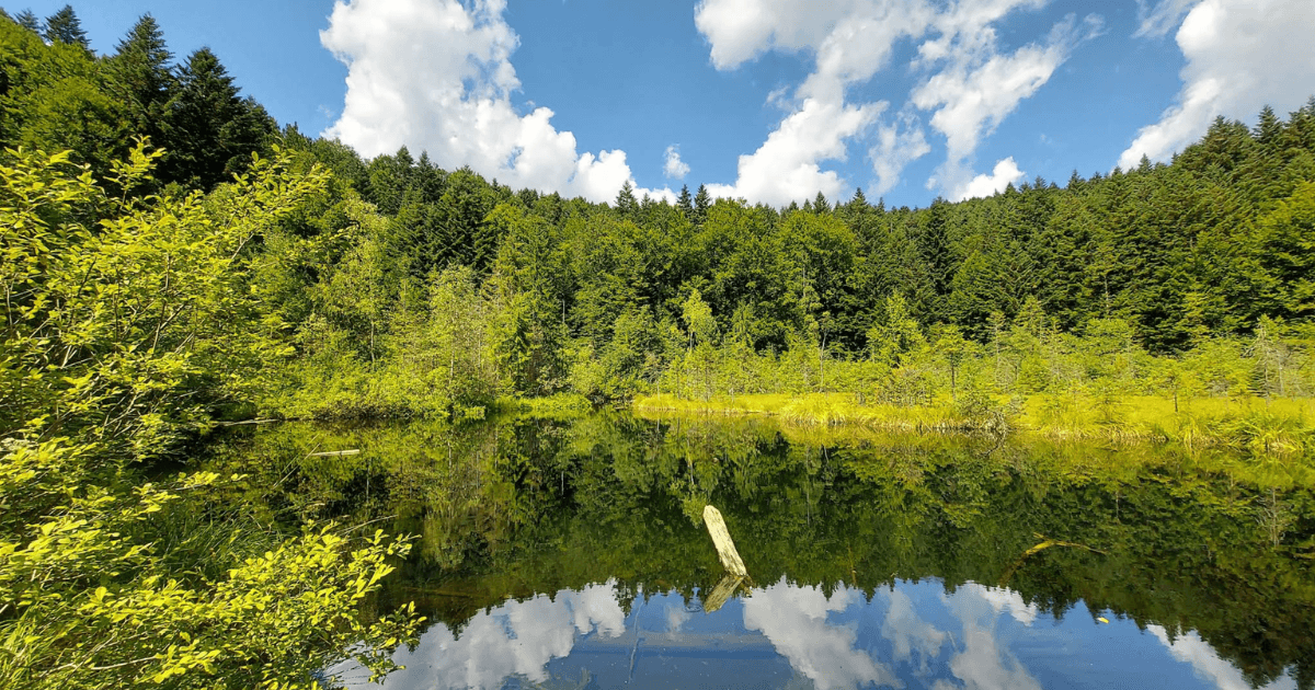 Цікаві місця Львівської області: повний путівник природними та архітектурними пам'яткам. Фото №2