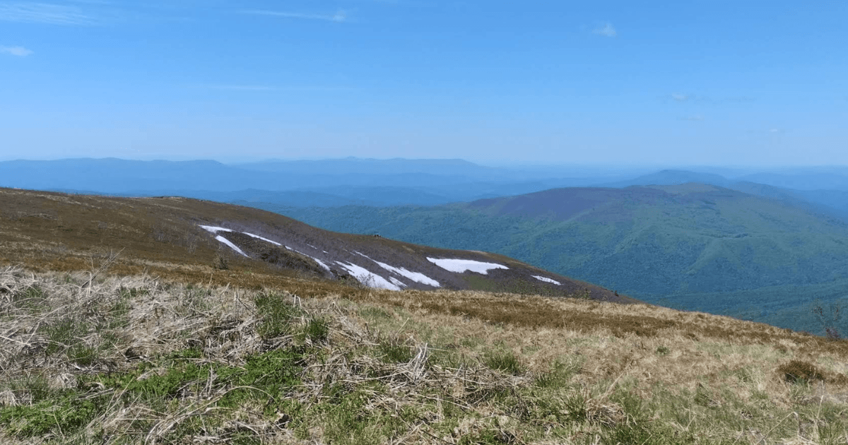 Полонина Руна