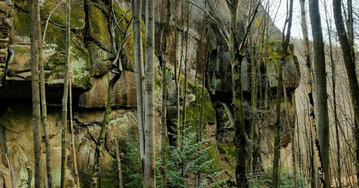 Урочище Красний Камінь