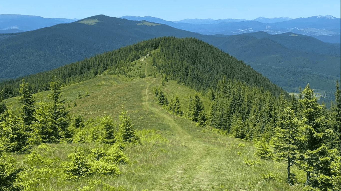 Гора Кострича