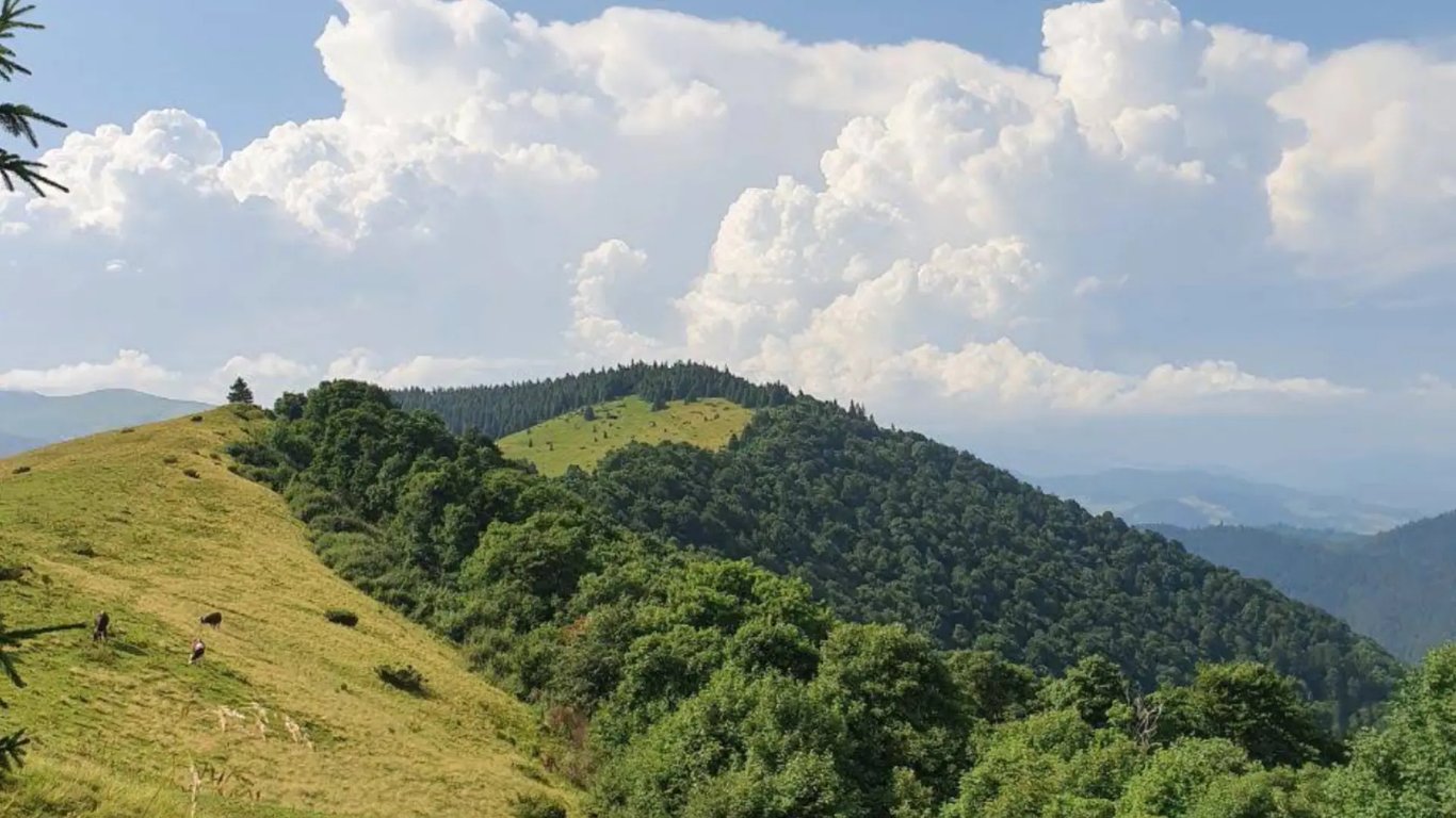 Найвищі гори України: топ 7 вершин Карпат. Фото №8