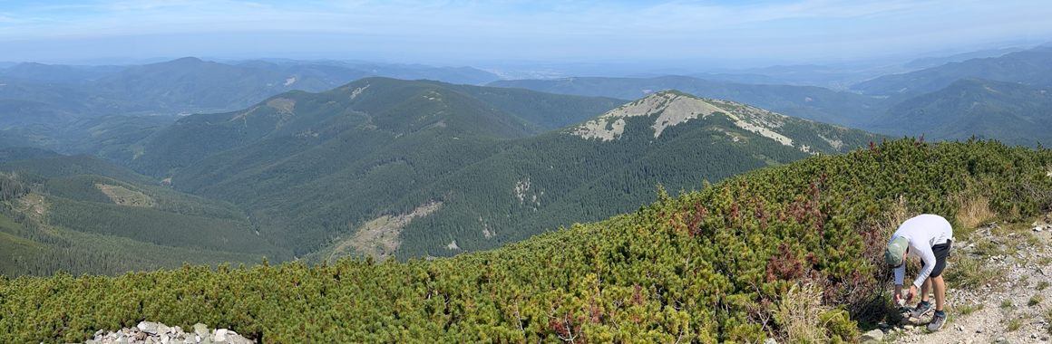 Гора Ігровець: маршрути, чим цікава, як дістатися. Фото №7