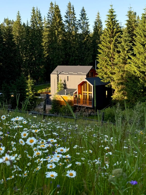 c30789cb17ff014fd8689af136ee33b4