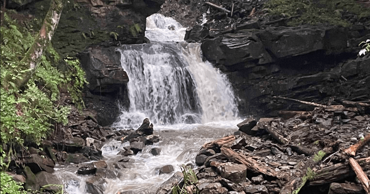 Багровецький водоспад