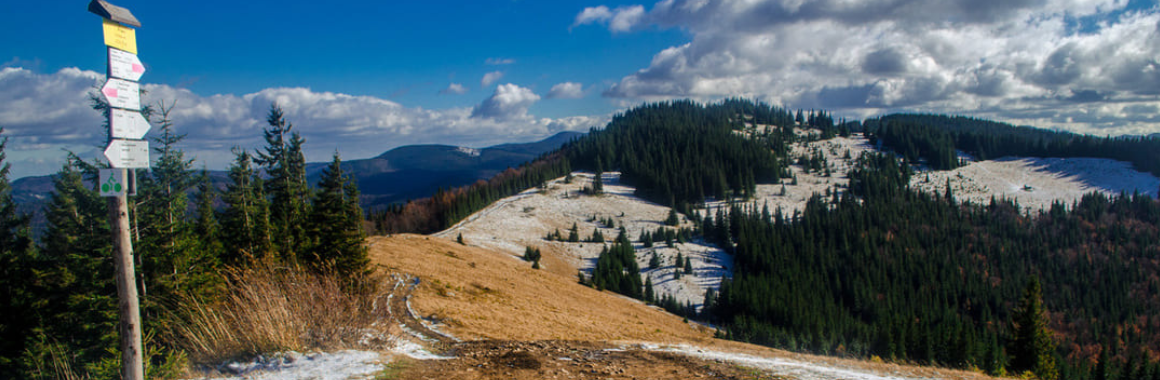 Гора Ягідна