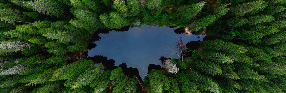 Озеро Аршиця