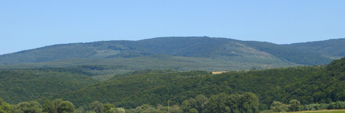 Гора Анталовецька Поляна