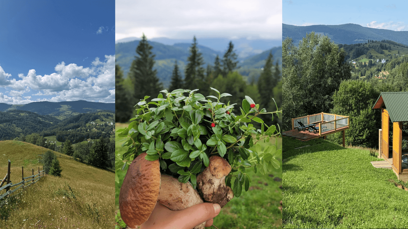 Від батьківського двору до Топ-ґазди 2025: історія Далеких Гір у Снідавці. Фото №3