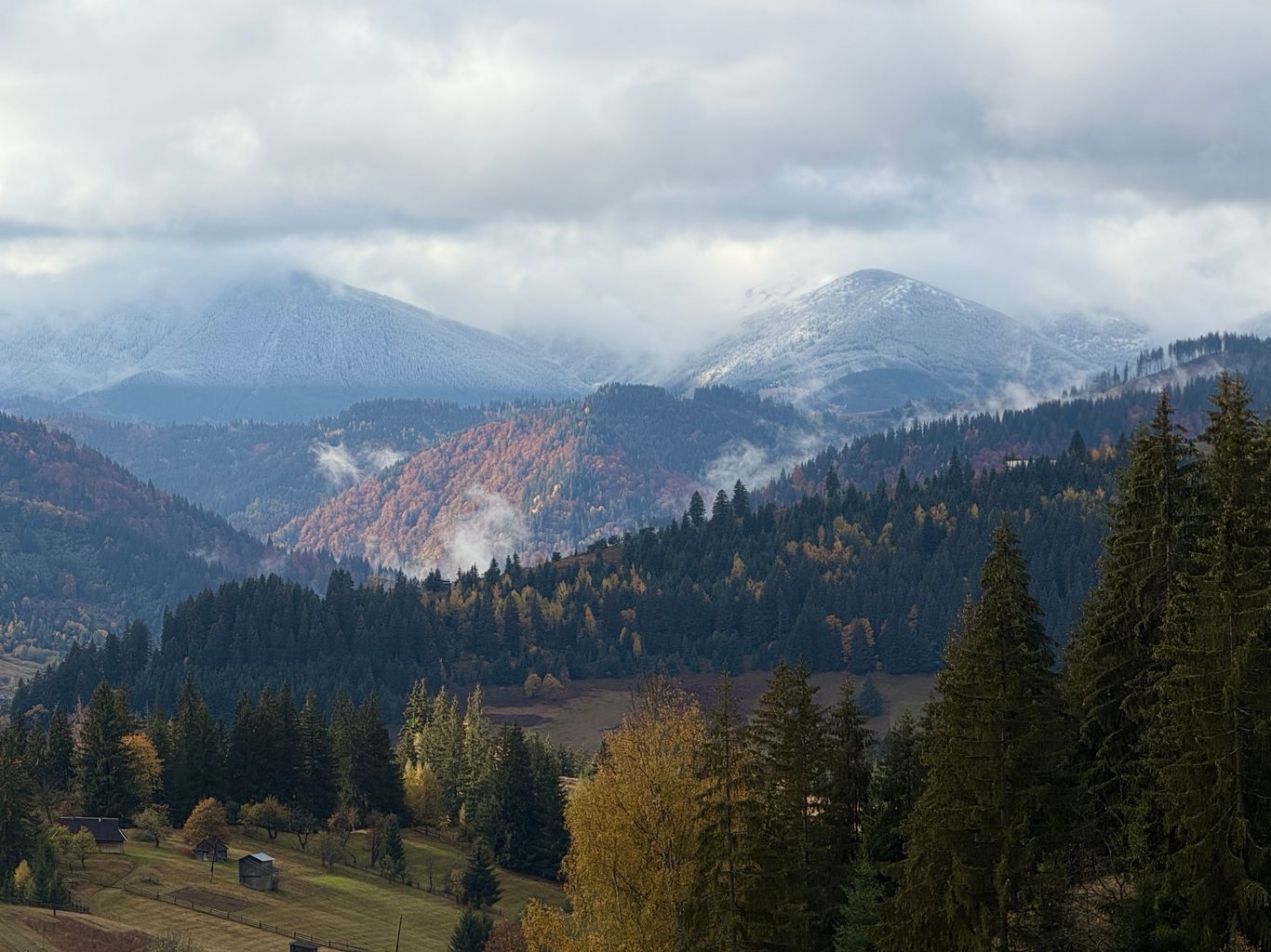 image_4