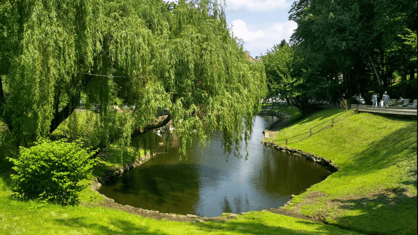 Топ-25 місць які варто відвідати у Львові. Фото №16