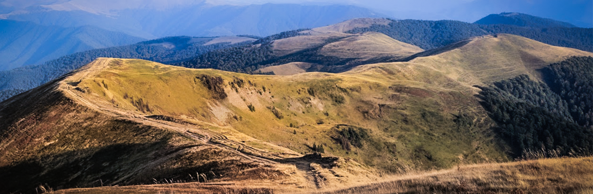 Полонина Красна