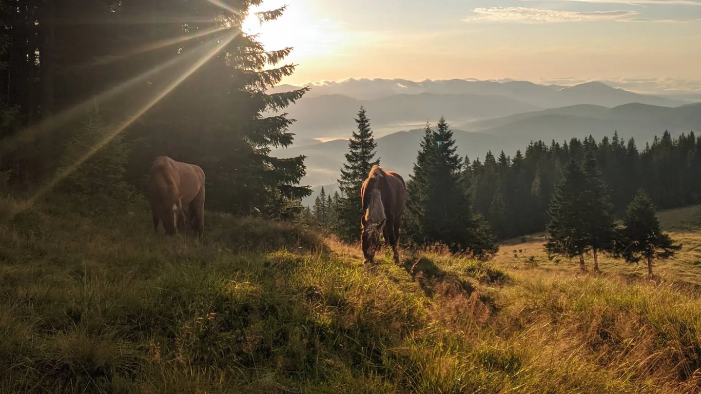 Куди піти та що подивитися в Краснику. Фото №9