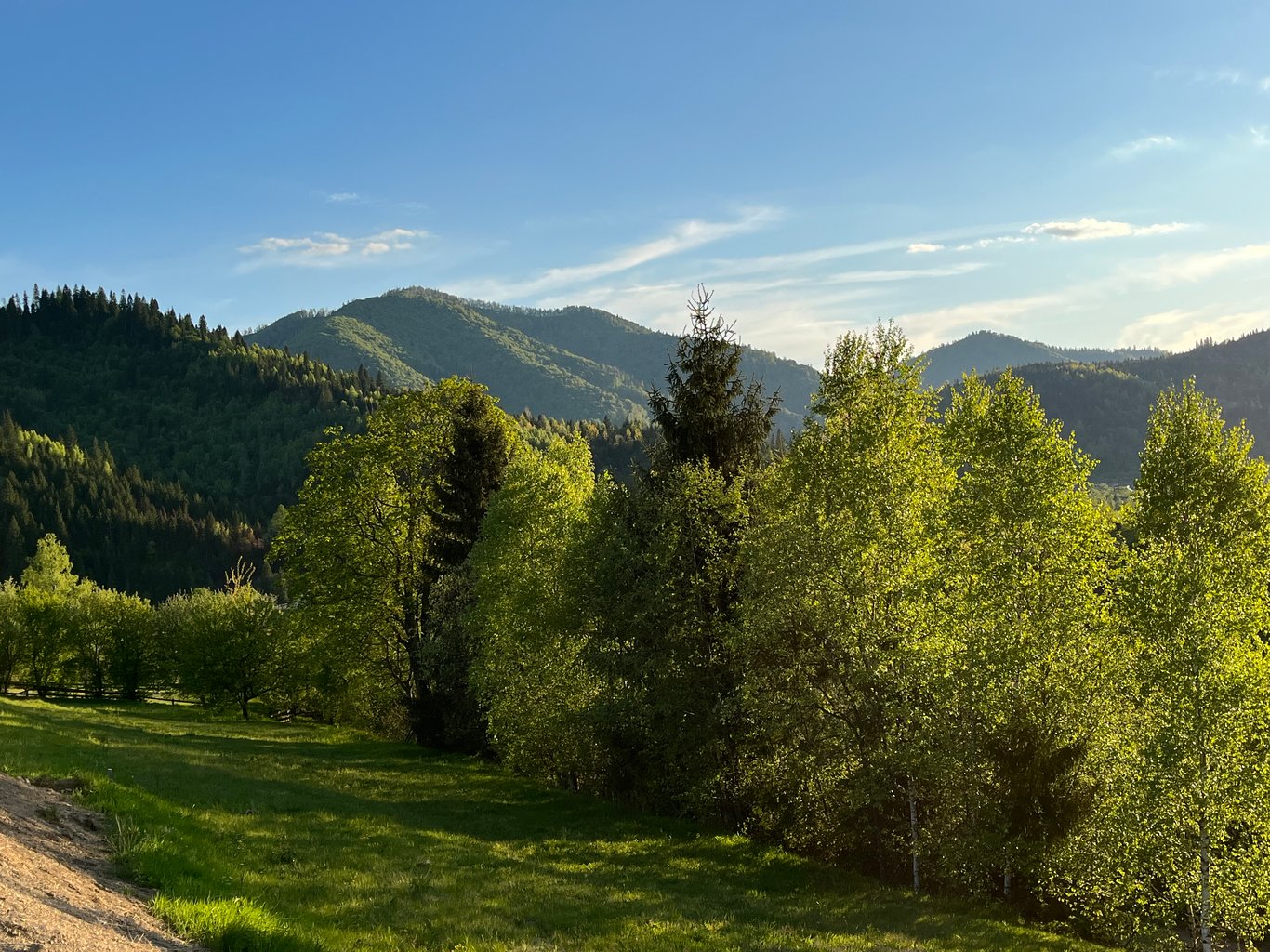 image_3