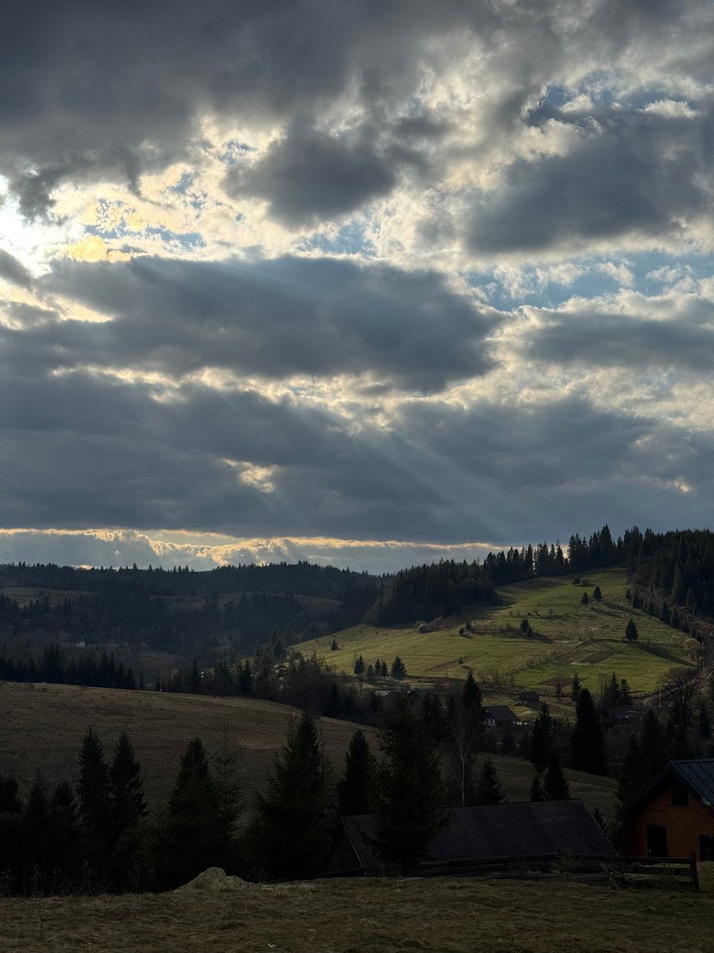 image_4