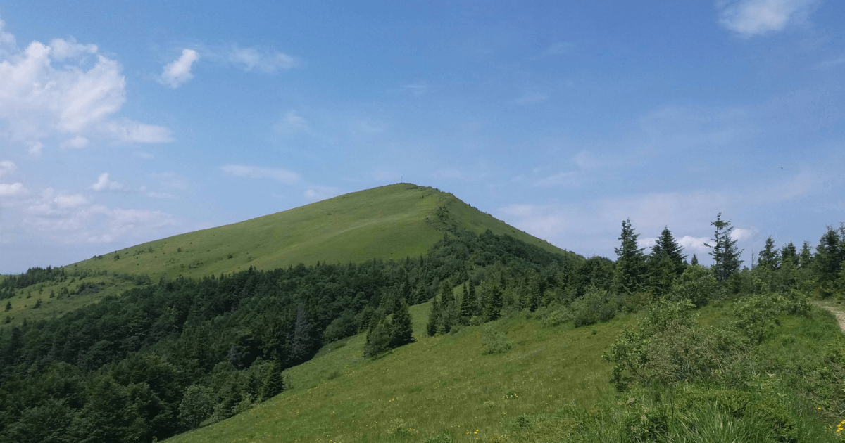 Топ-10 гір Карпат походу в гори з дітьми. Фото №7