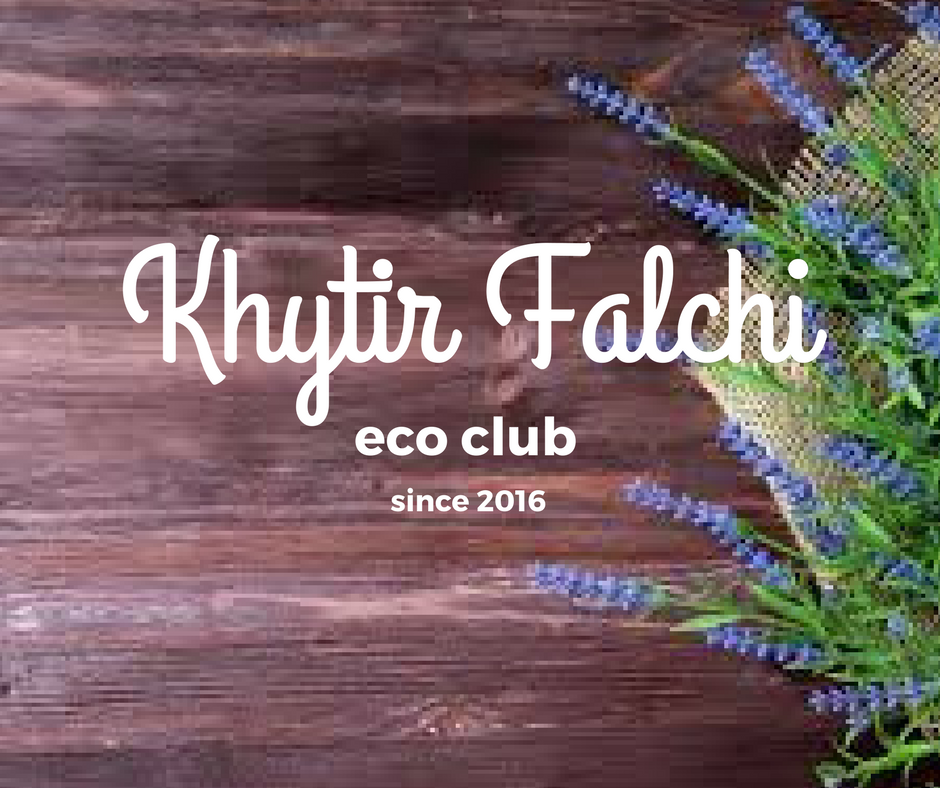 6935360472206b42e65dcaa3logo