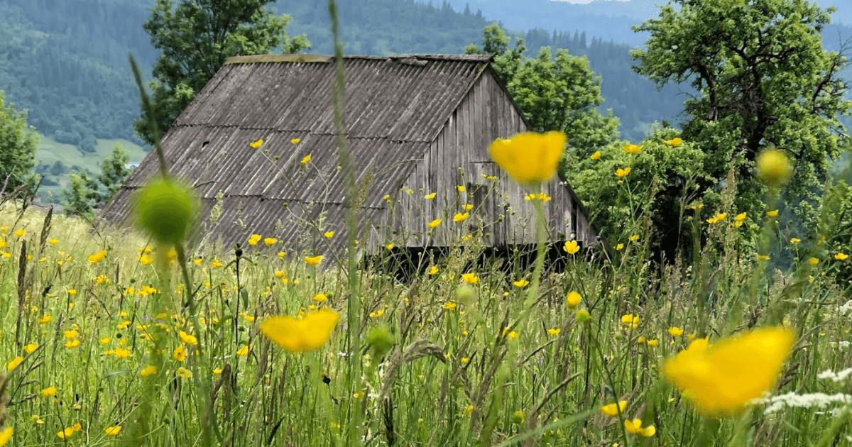 Великдень 2026 в Україні: дата, традиції, що покласти в кошик і де святкувати. Фото №9